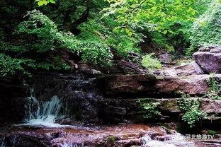 山水as29最新爆料,揭秘高端智能设备背后的创新与突破