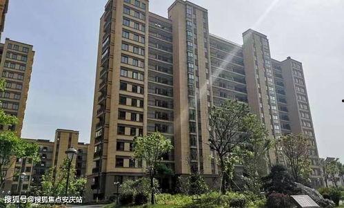 辽源市玉桂园最新爆料,揭秘神秘项目背后的惊人真相